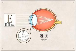 半岛官方版截图0